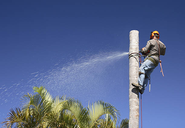 Lawn Irrigation Installation and Maintenance in Sultana, CA