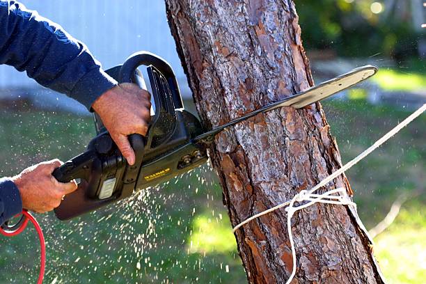 Soil Testing and Treatment in Sultana, CA